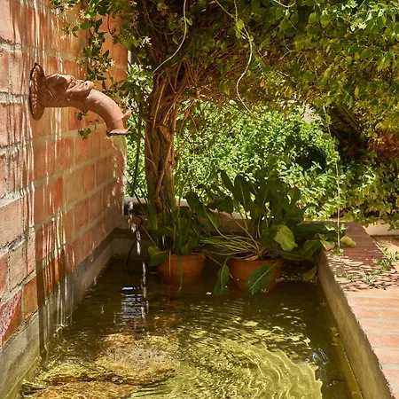 Casa de Férias Casa Da Lameira Sao Lourenco (Faro)